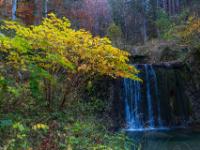 Kaskade im Lochgraben mit Herbststrauch davor